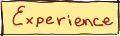 Experience